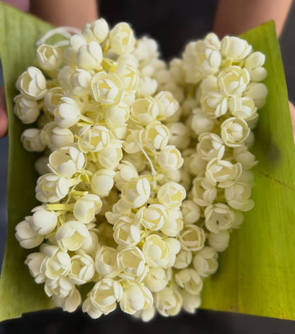 Jasmine Flower Garland