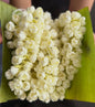 Jasmine Artificial Flow Garland