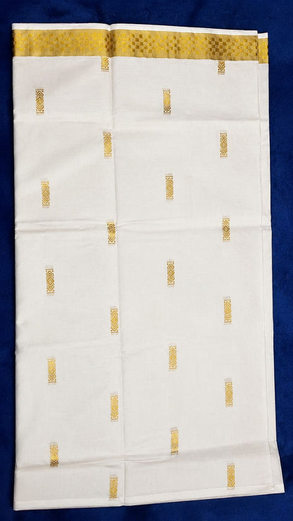 Off-White and Gold Embroidery Set Saree