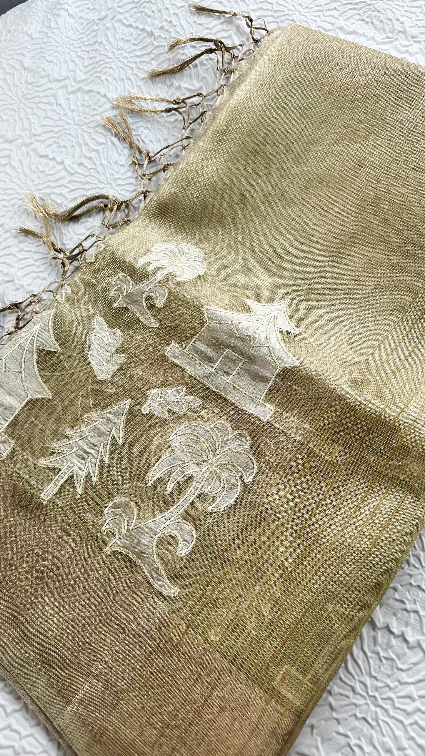 Elegant Fancy Tissue Saree with Intricate Appliqué Work & Tassel Pallu
