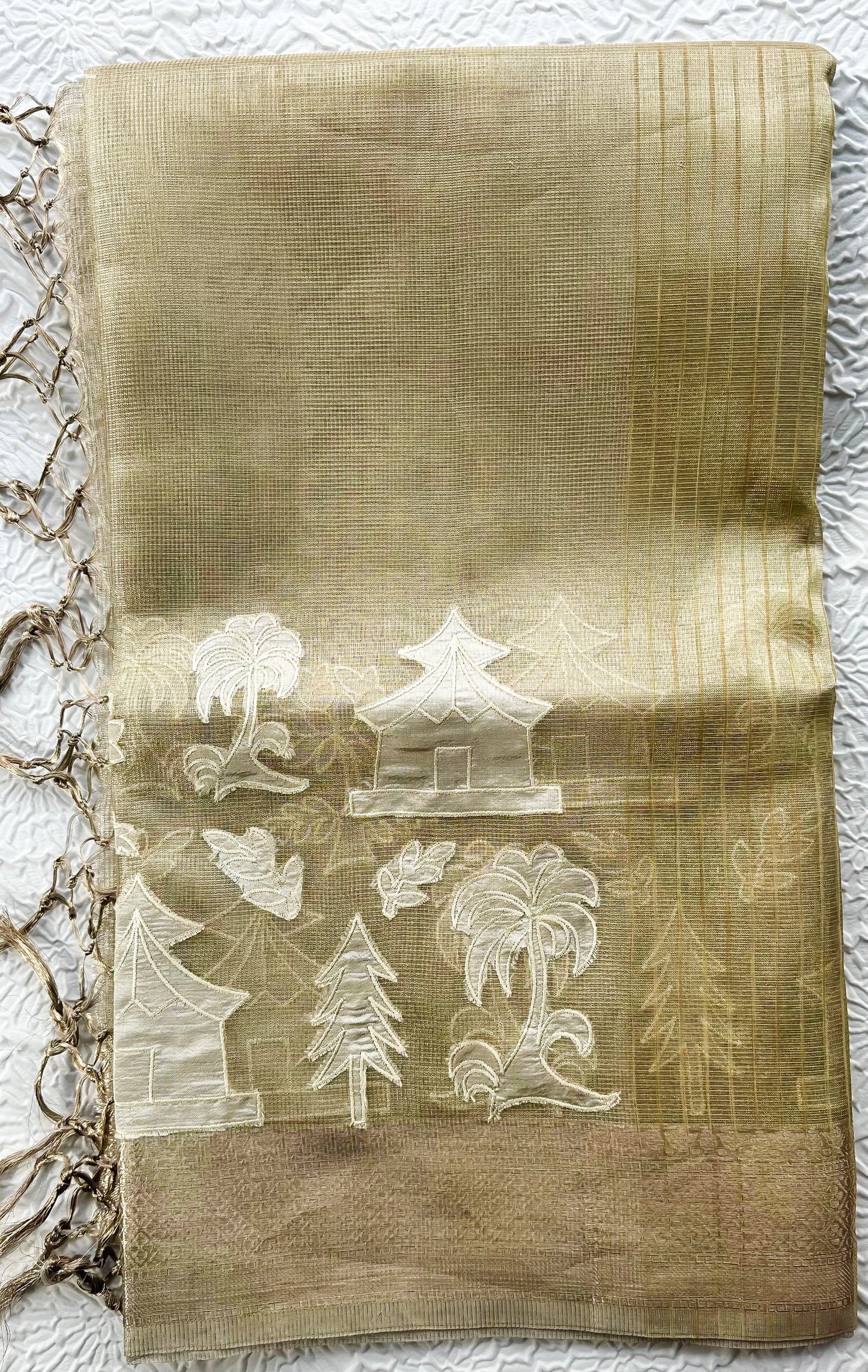 Elegant Fancy Tissue Saree with Intricate Appliqué Work & Tassel Pallu